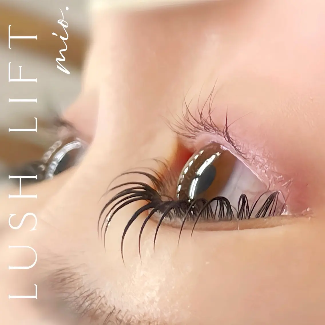 マツエク・マツパ フラットラッシュ 韓国風マツエク パリジェンヌラッシュリフト まつげパーマ 一重×まつ毛パーマ マツパ mai /マツパ.眉のマツエク・マツパデザイン