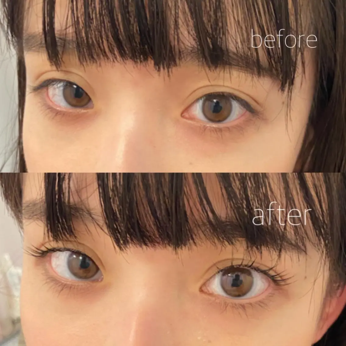 マツエク・マツパ パリジェンヌラッシュリフト 🍃 MOMONEの眉毛・アイブロウイメージ