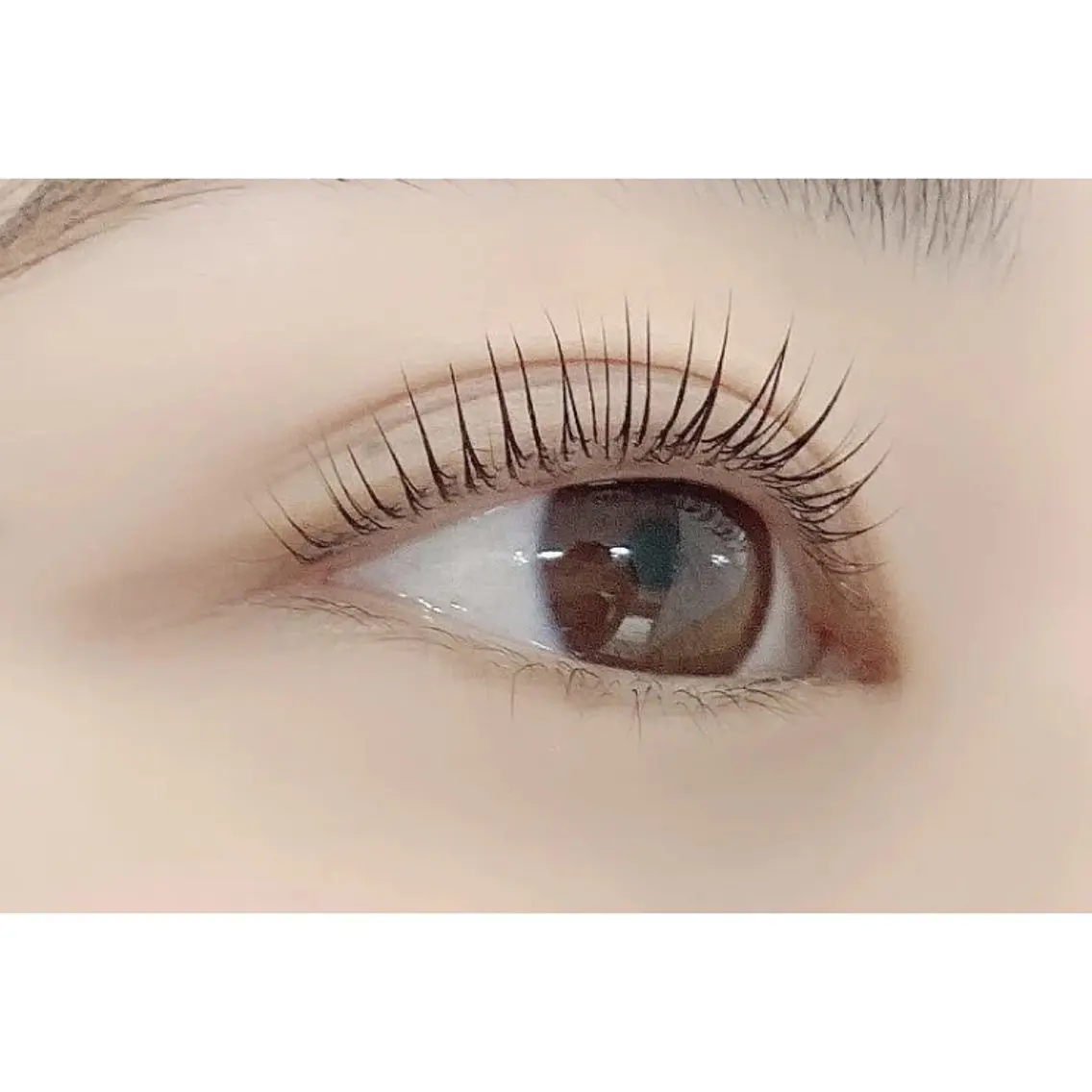マツエク・マツパ taupe（トープ） nakamuraの眉毛・アイブロウイメージ