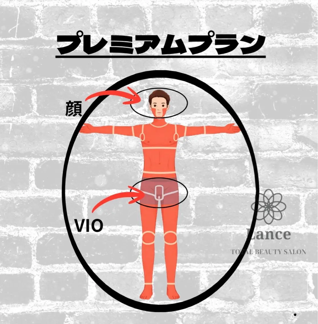 【プレミアムプラン】全身ALL(顔 or VIO)の写真