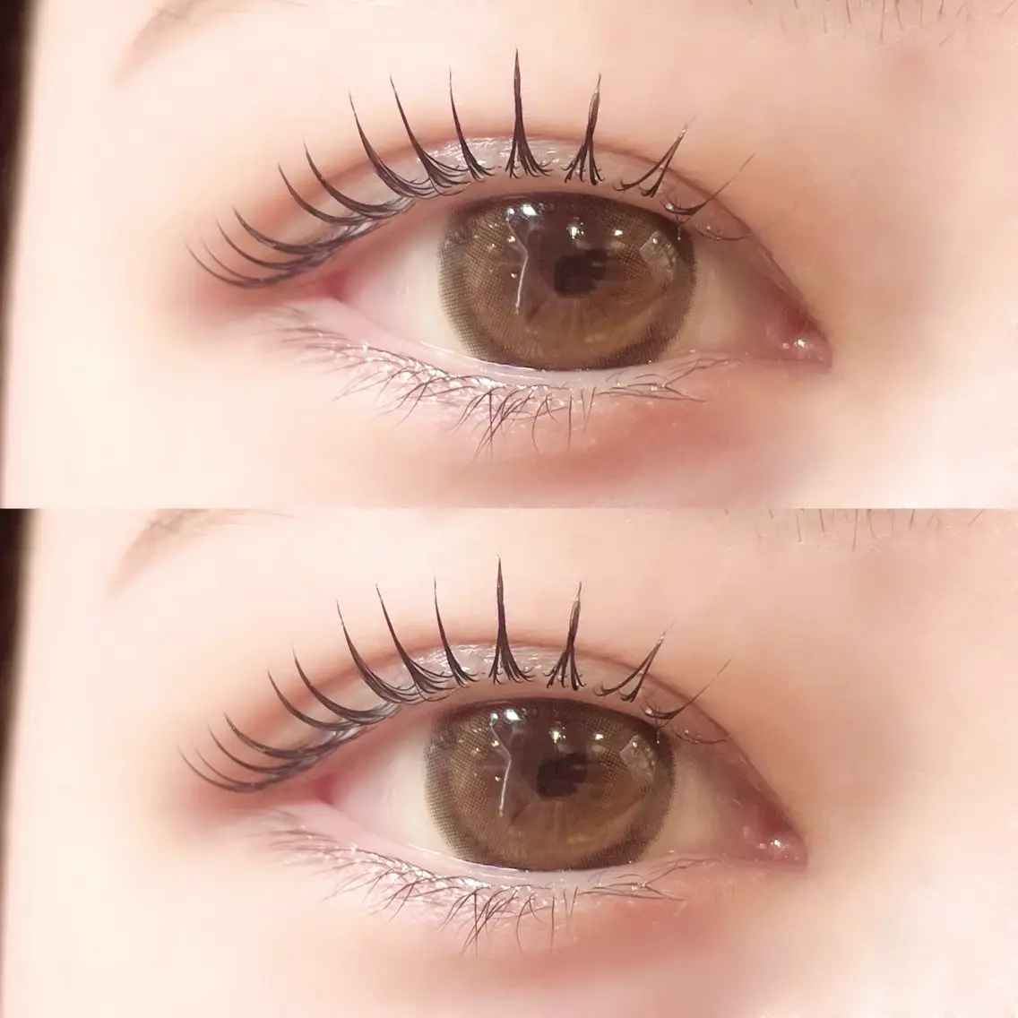 マツエク・マツパ Cカール マツパ Pupu lash ‪ ꪔ̤のマツエク・マツパデザイン