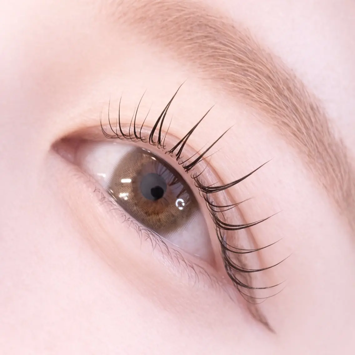 マツエク・マツパ パリジェンヌラッシュリフト 一重×まつ毛パーマ EYEVY 門前仲町のマツエク・マツパデザイン