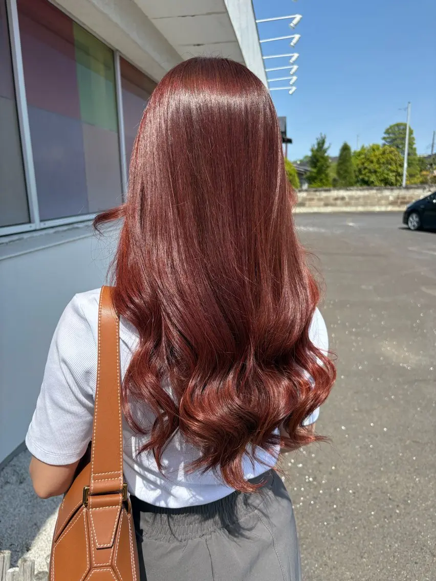 ワンカラーの写真