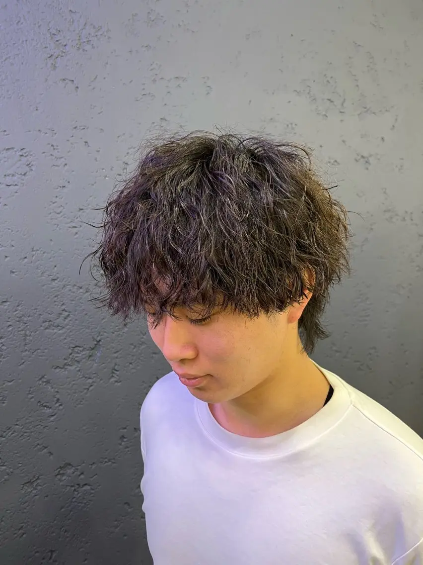 【5月限定クーポン‼️】🩶🐨メンズカット＋ツイスト・スパイラル・波巻き・シャドーパーマなど！🐨🩶の写真