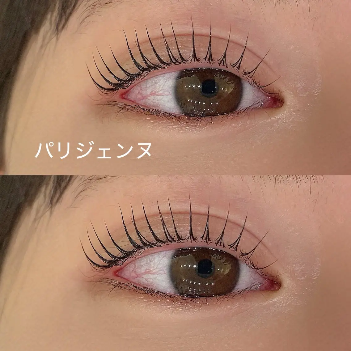 マツエク・マツパ パリジェンヌラッシュリフト 一重×まつ毛パーマ マツパ マリーテレジア FUJIMOTOのマツエク・マツパデザイン