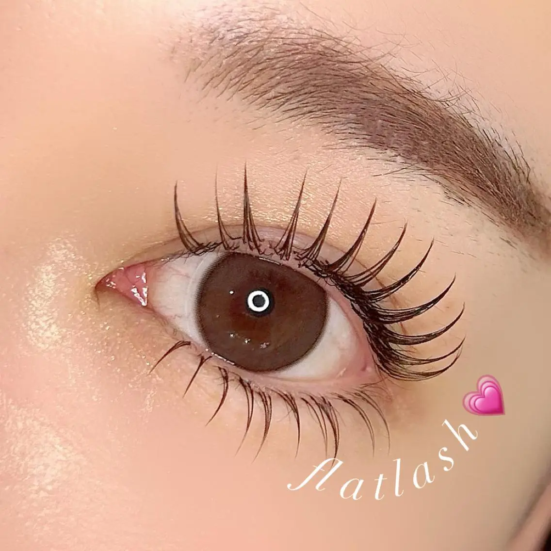 最新✨LEDエクステ✨フラット100本［¥8000］140本［¥8800］【再来＋1000円】の写真