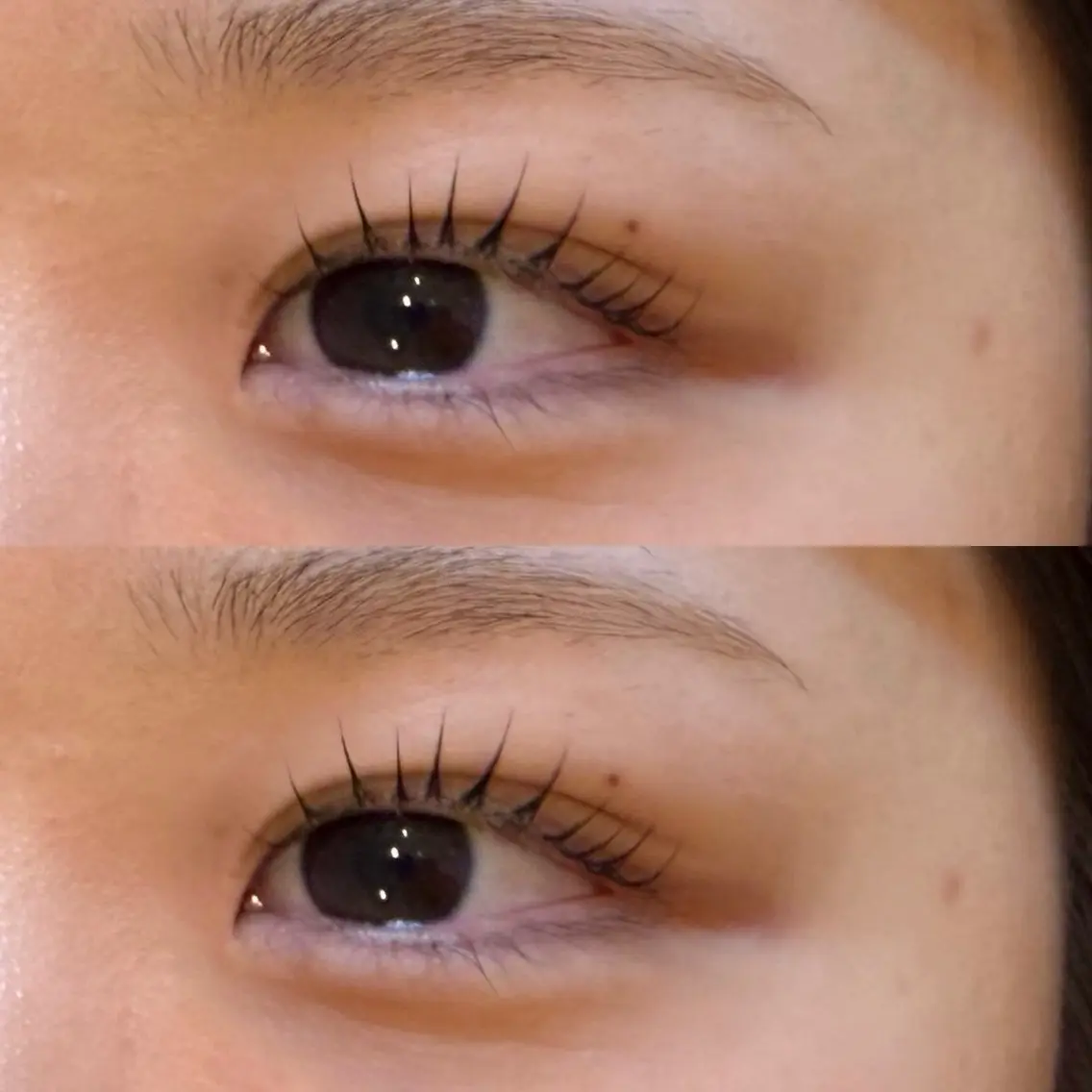 パーマ Daisy Lash 天王寺　山田の眉毛・アイブロウイメージ