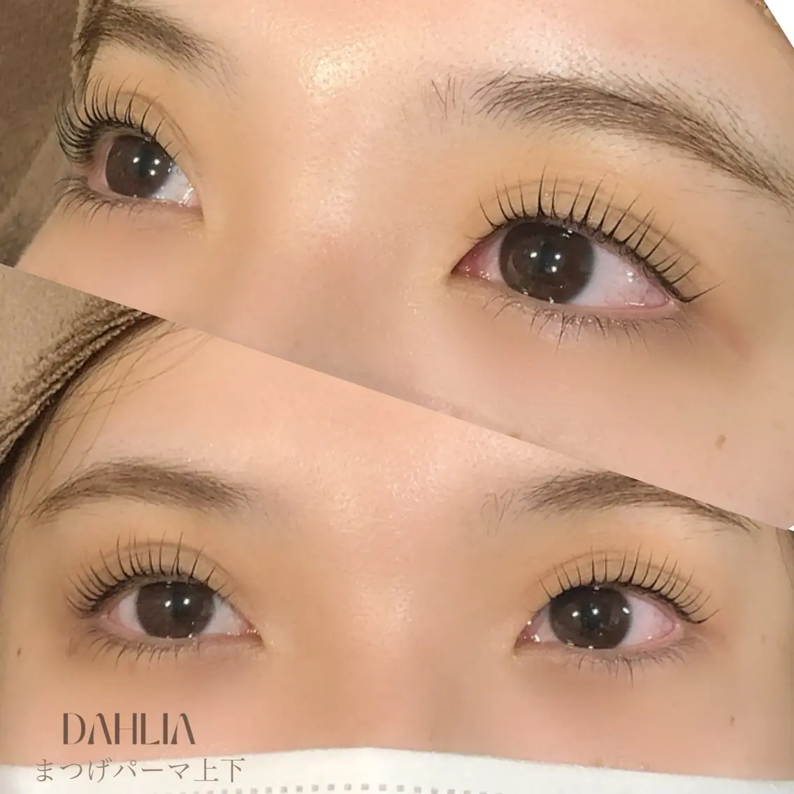 マツエク・マツパ まつげパーマ Dahliaダリア 斉藤のマツエク・マツパデザイン