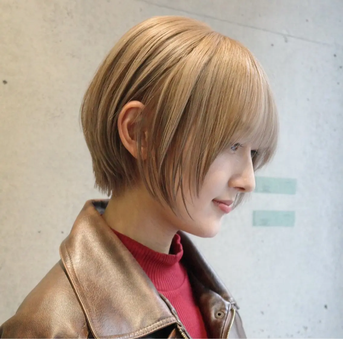 ショート ショートボブ ショートレイヤー 丸みショート ボブ レイヤーカット 田中 里奈のヘアスタイル