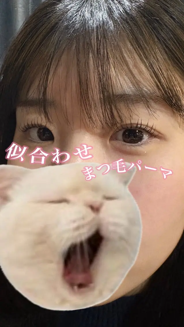 マツエク・マツパ 一重×まつ毛パーマ 🦋似合わせまつぱ 塩原香月🦋のマツエク・マツパデザイン