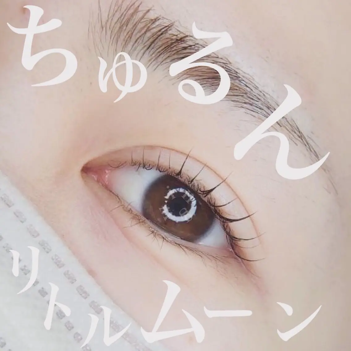 マツエク・マツパ ケラチンラッシュリフト wing rinaのマツエク・マツパデザイン