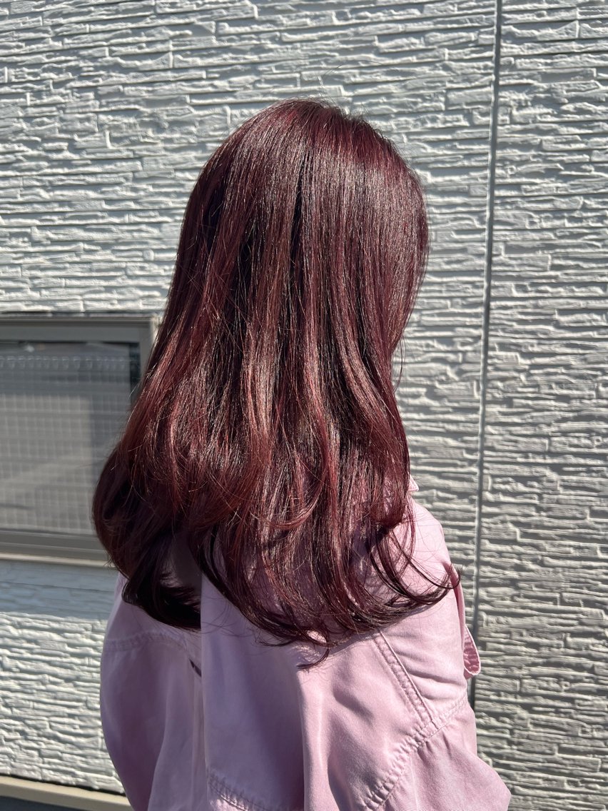 ロング カラー パープルカラー レイヤーカット カット ヘアカラー cyan Amiのヘアスタイル