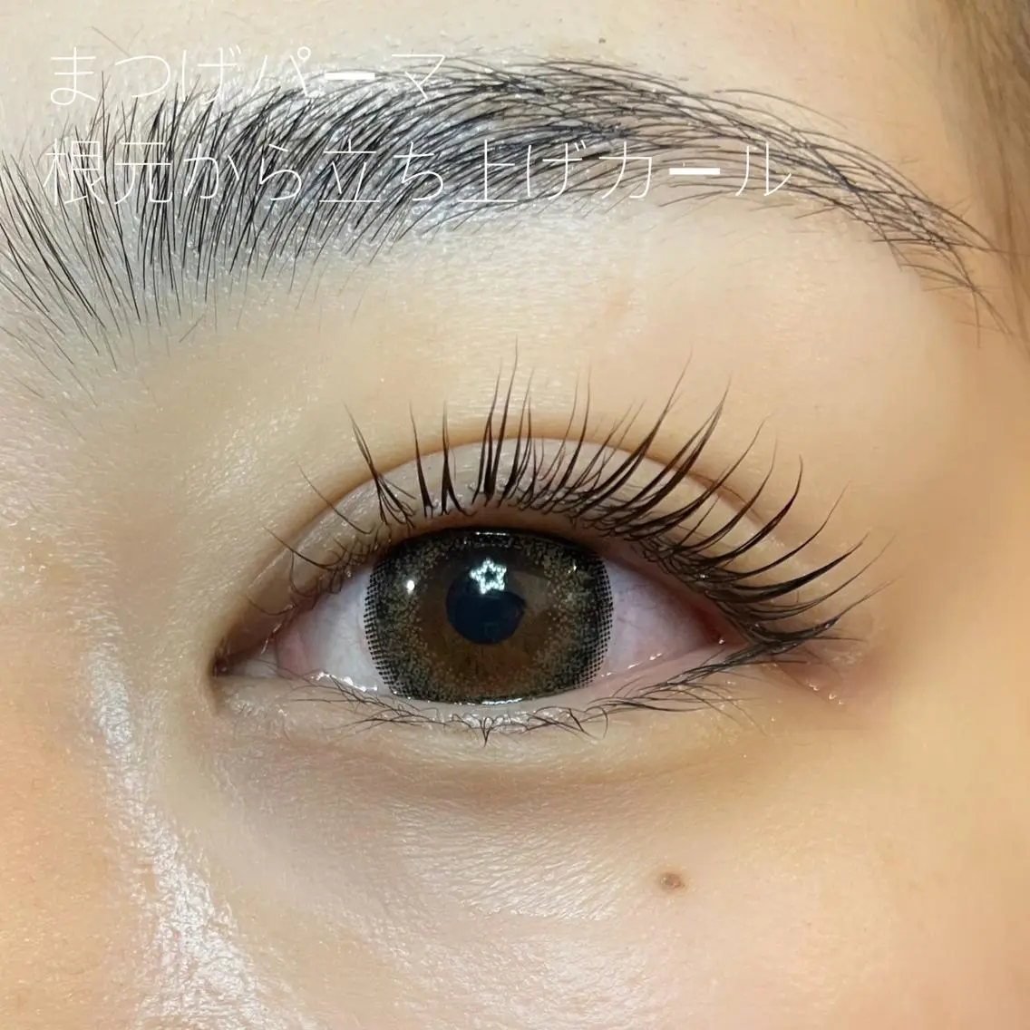 マツエク・マツパ 吉祥寺kasumi 🌛eye/browのマツエク・マツパデザイン