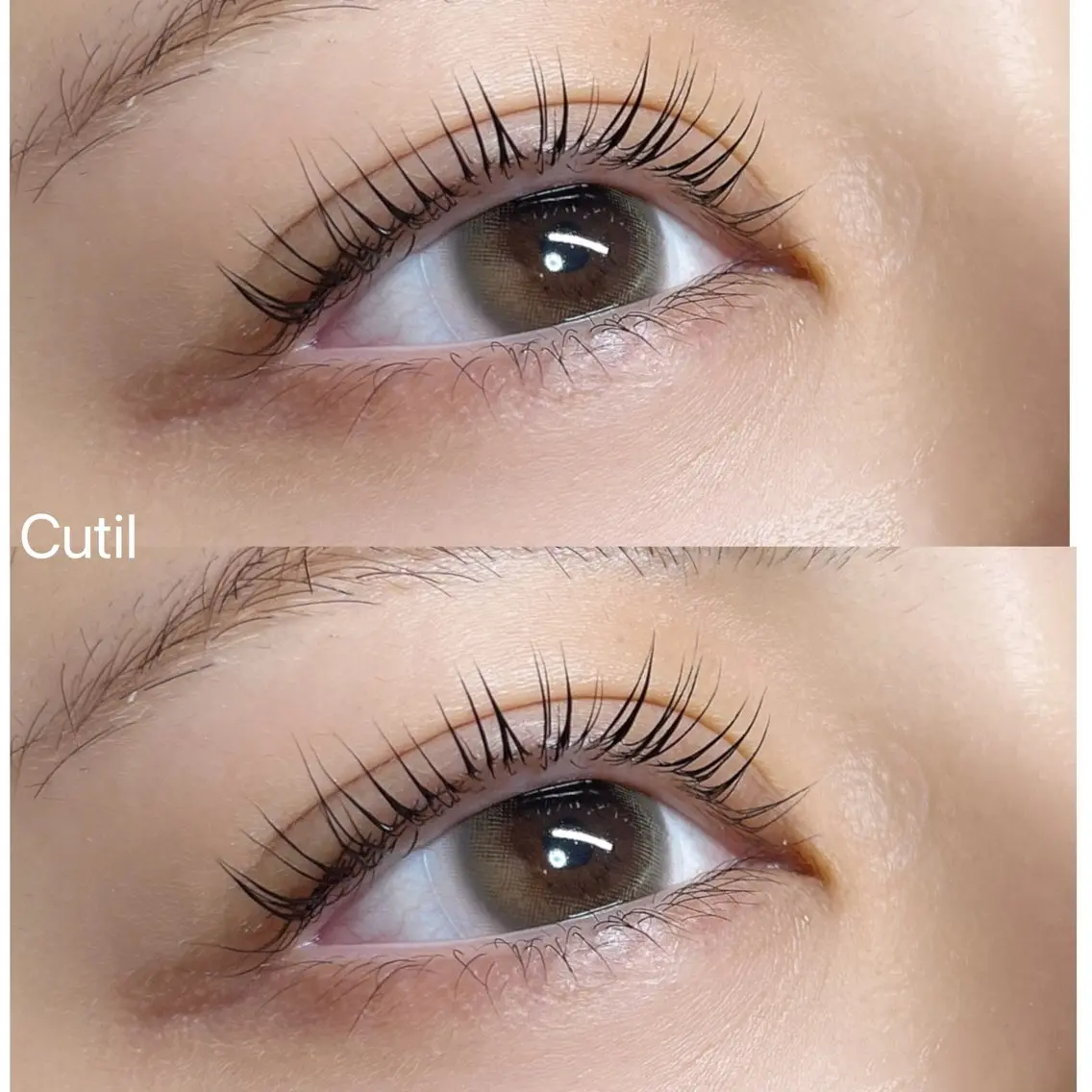 マツエク・マツパ マツパ Cutil . eyelash 🍊のマツエク・マツパデザイン