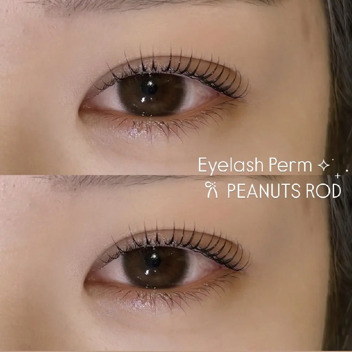 マツエク・マツパ Daisylash 💞RIOのマツエク・マツパデザイン
