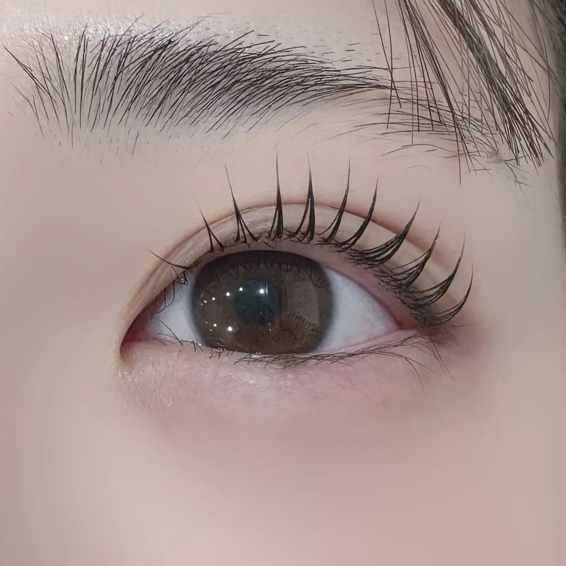 【🌟ご新規様限定🌟】韓国発🇰🇷マスカラまつ毛パーマ🖤.:*☆ 《5.6月限定価格💫》の写真