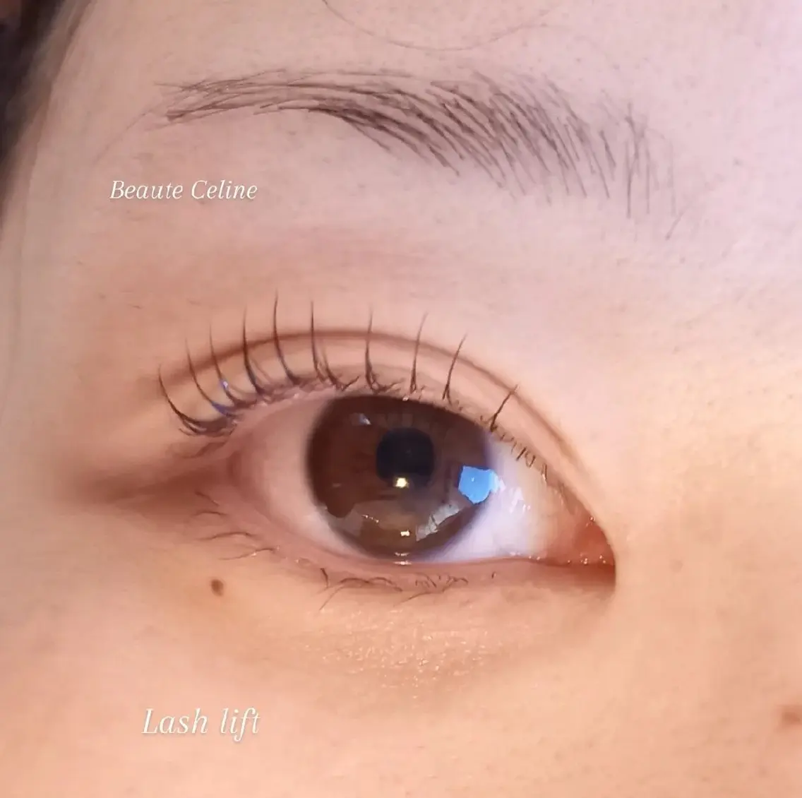 マツエク・マツパ マツパ LED✨beaute Celine🌛🌹のマツエク・マツパデザイン