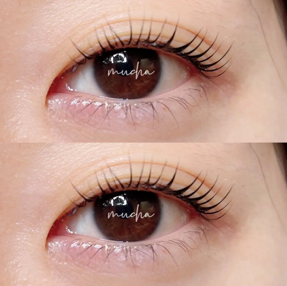 マツエク・マツパ マツパ eyelash muchaのマツエク・マツパデザイン