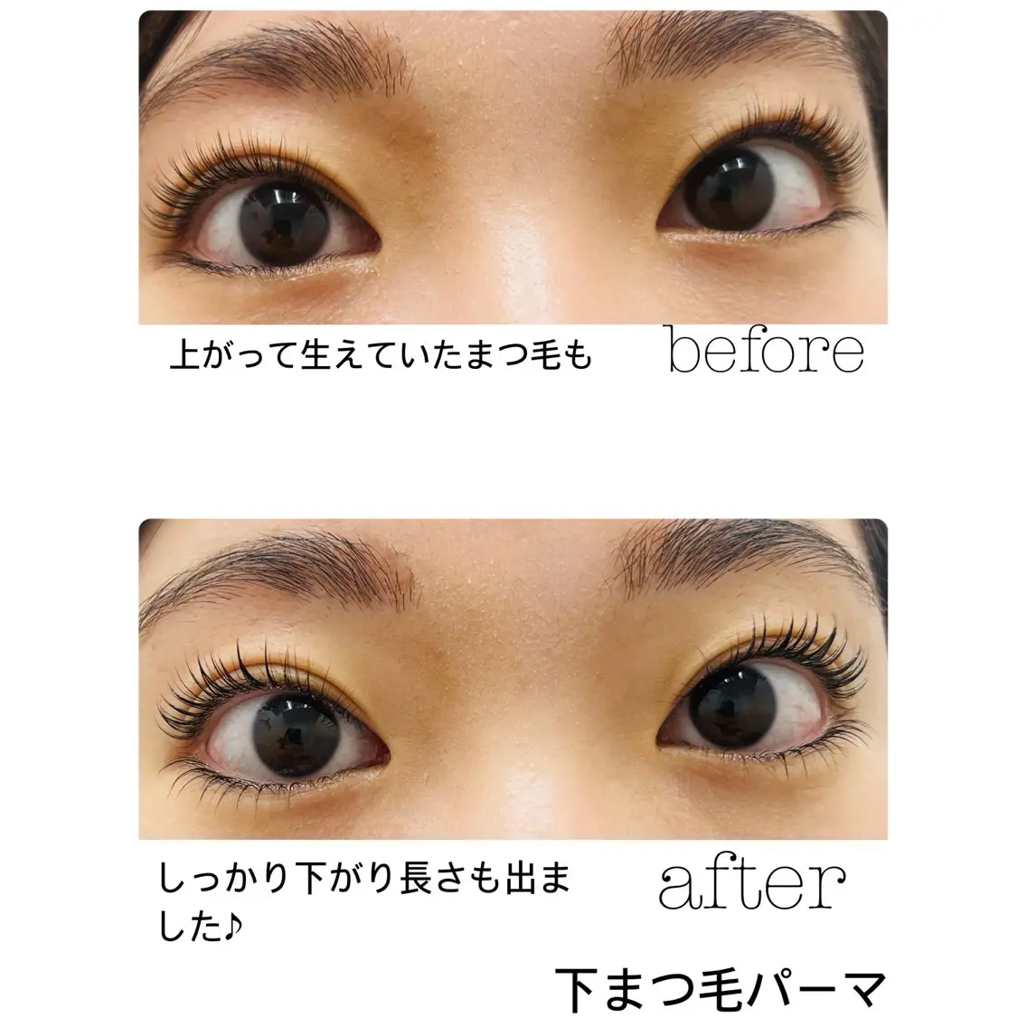 下まつ毛パーマ 保湿コーティング付き👀の写真