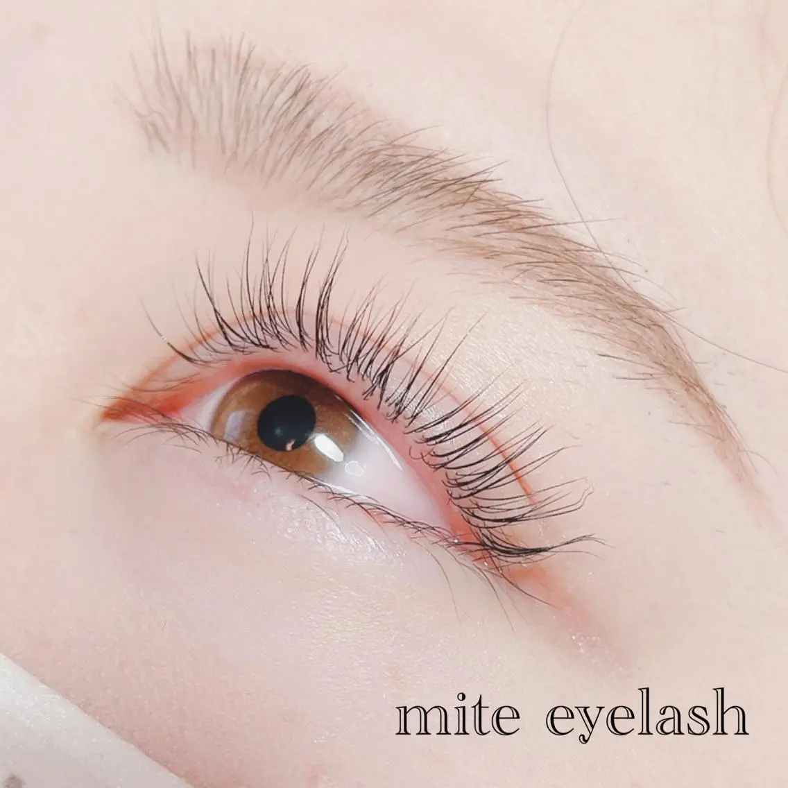 マツエク・マツパ mite eyelashのマツエク・マツパデザイン