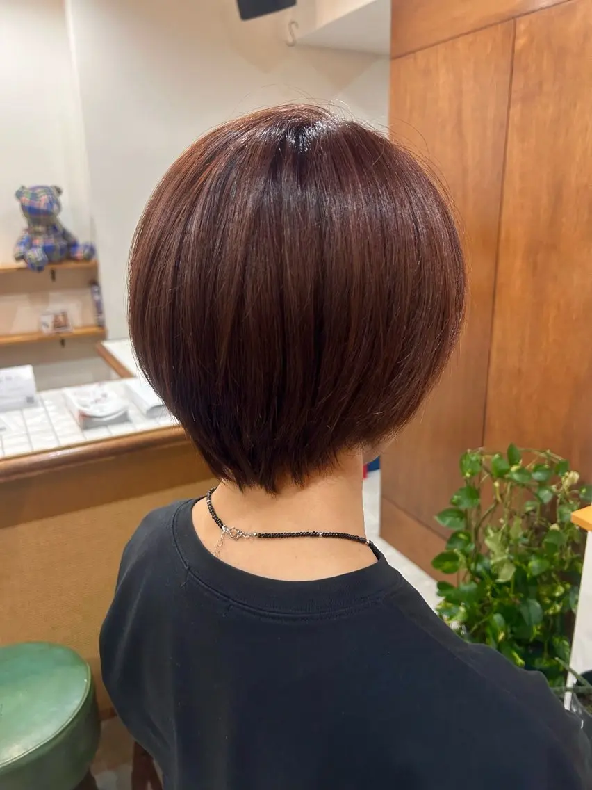 ワンカラーの写真