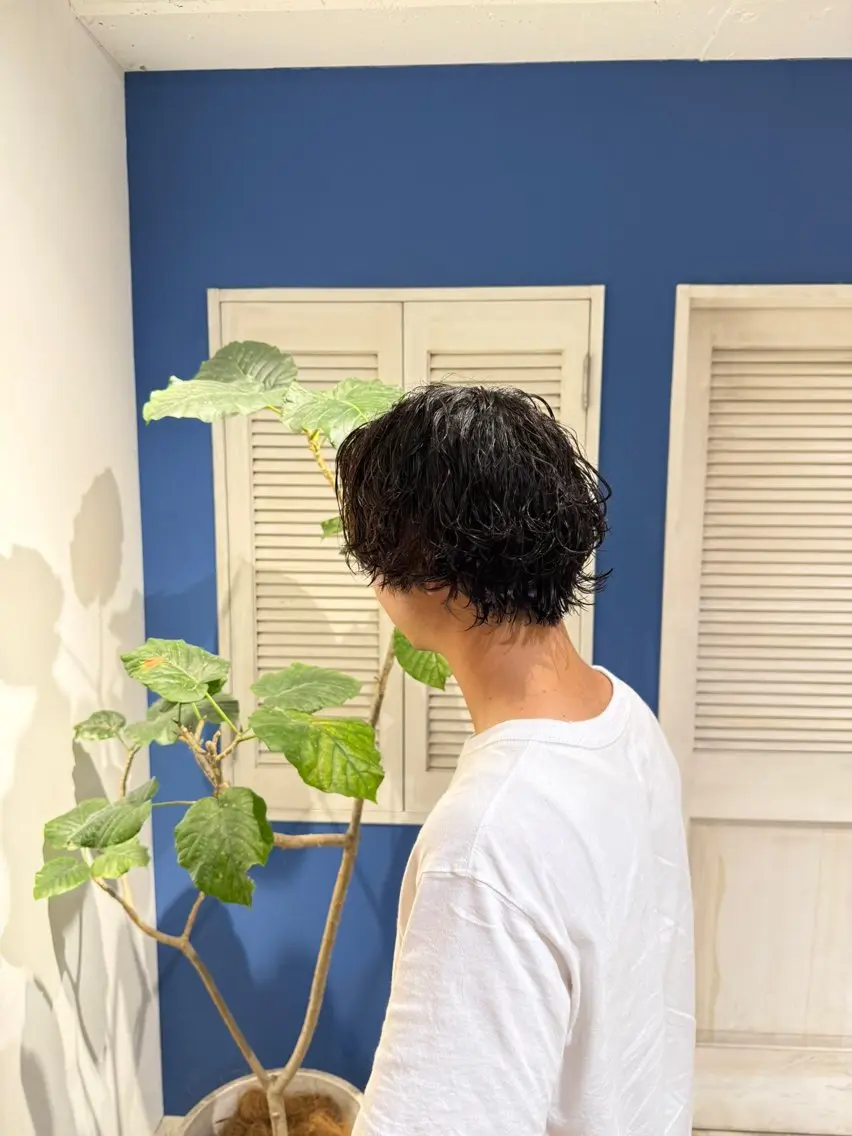 ショート カット パーマ メンズパーマ/透明感 カラー 北山 祐助のヘアスタイル