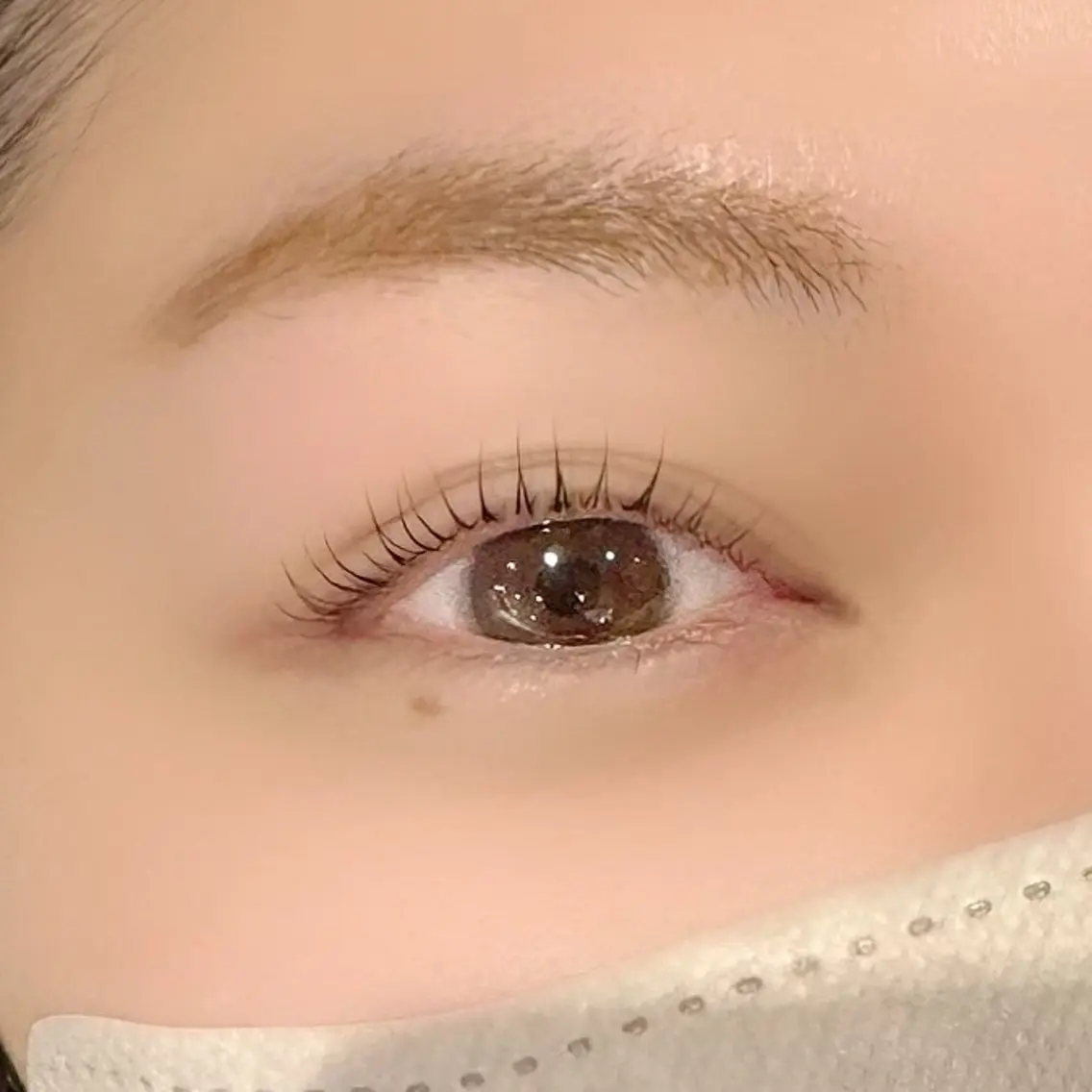 マツエク・マツパ ナチュラル Jrスタイリスト𓍯 横堤🫧秋積日向のヘアスタイル