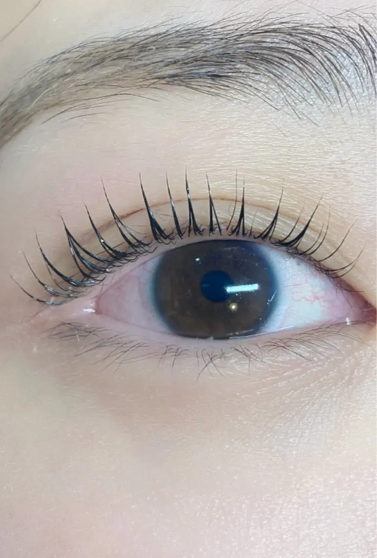 ラッシュリフトの写真