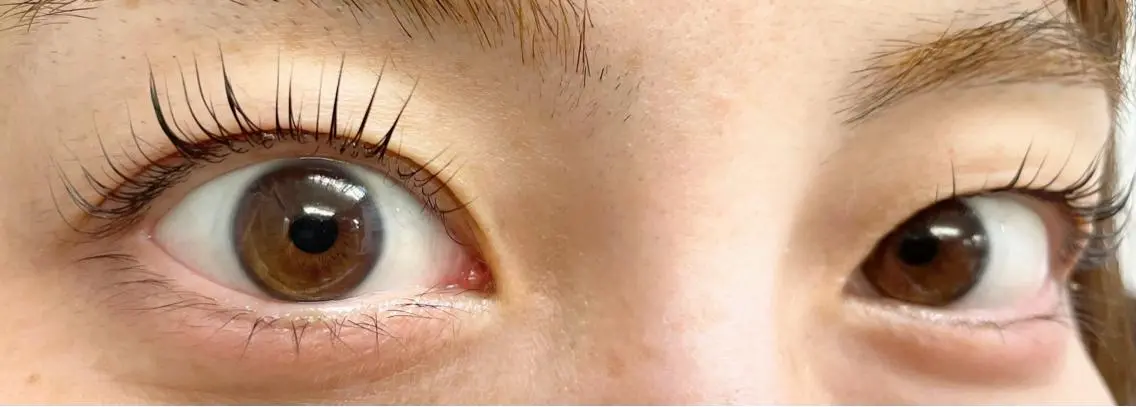 マツエク・マツパ eyelash f　香里園のマツエク・マツパデザイン