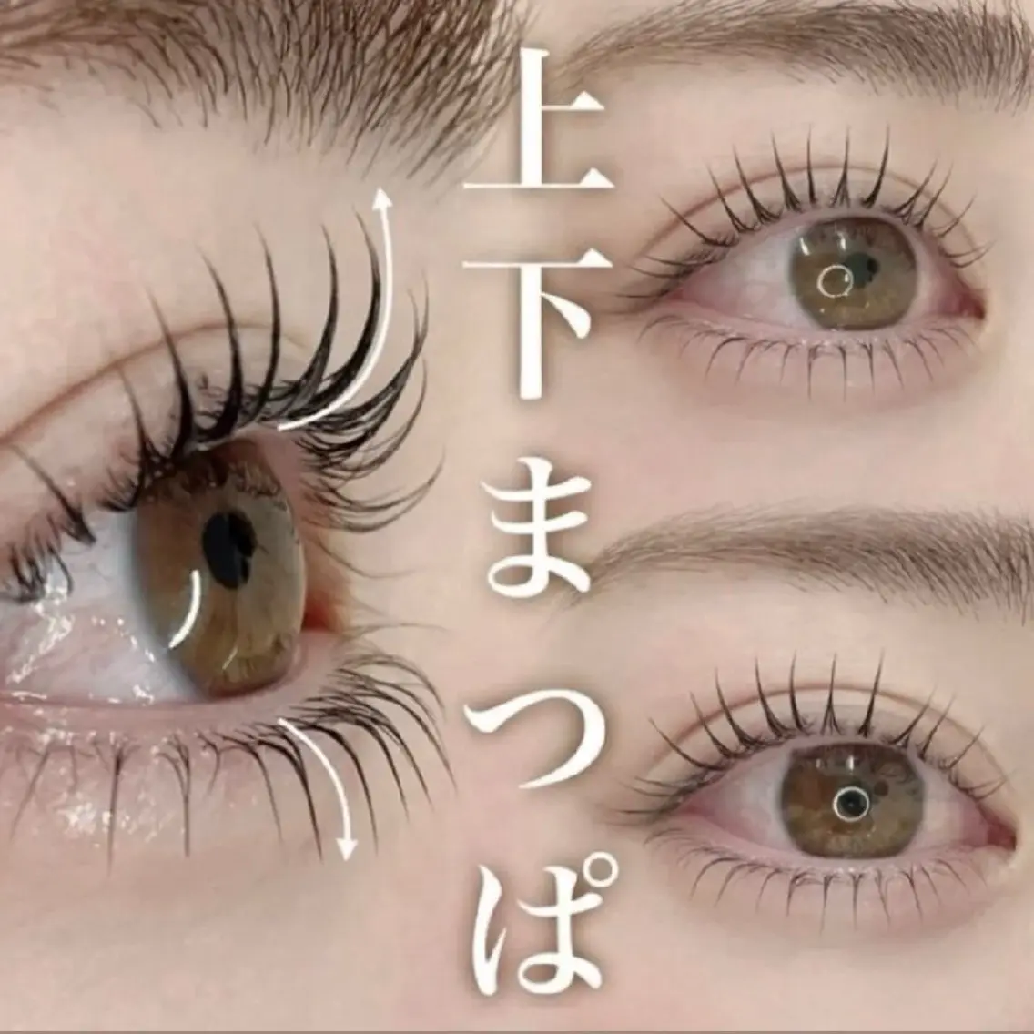 韓国風🩶まつげパーマ【上下お得セット】★ダメージレス★《化粧品登録》7980が6000円の写真