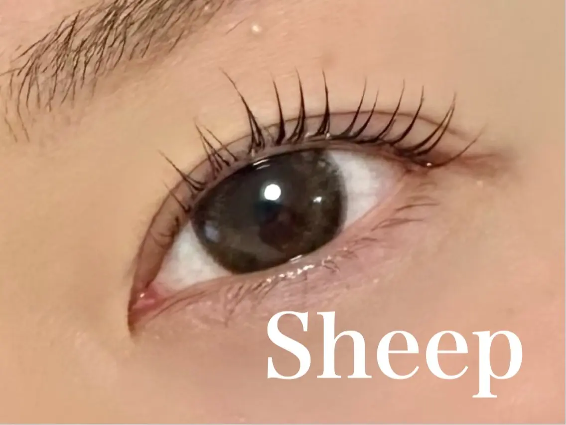 マツエク・マツパ Sheep 黒崎のマツエク・マツパデザイン