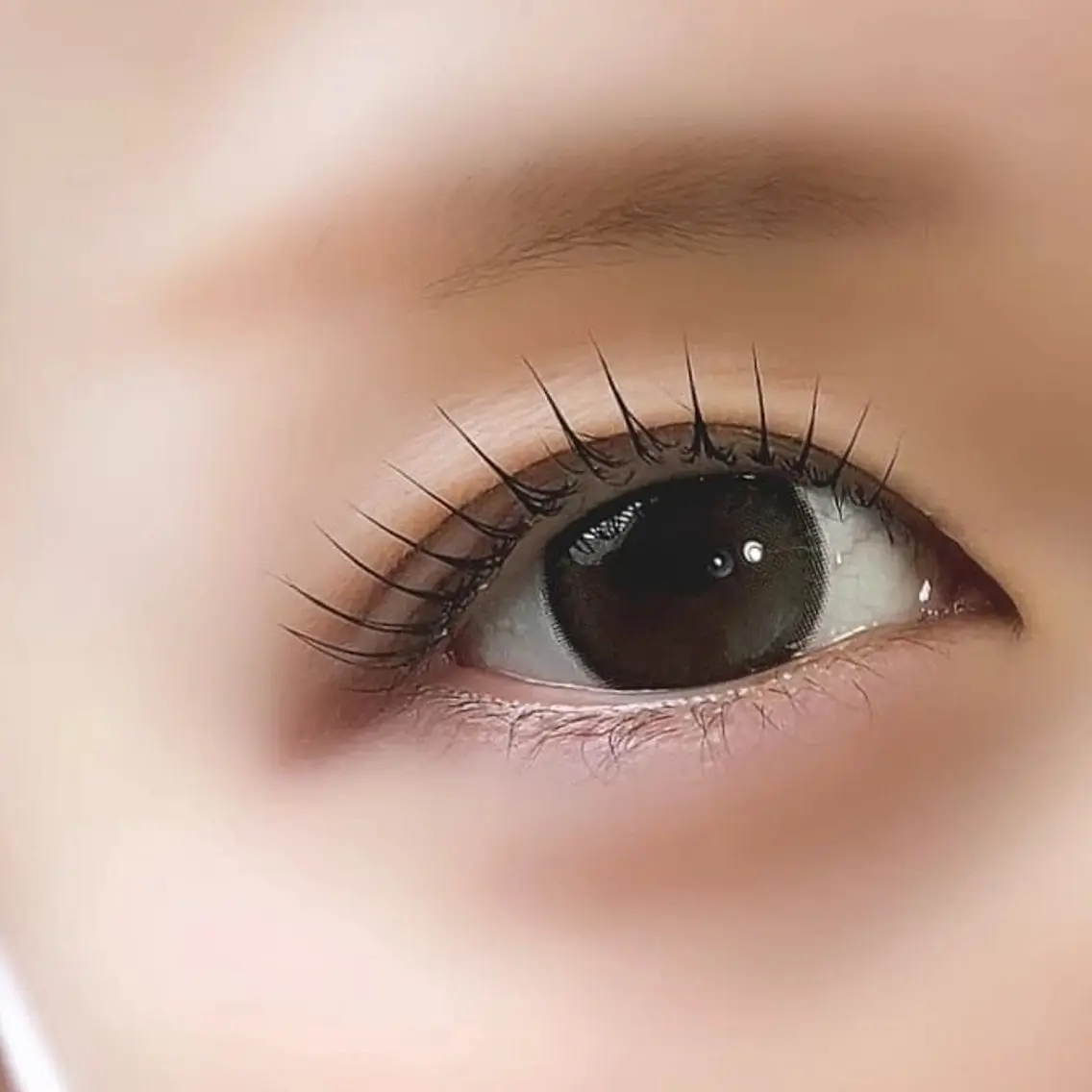 マツエク・マツパ 韓国風マツエク LATTE eyelashのマツエク・マツパデザイン