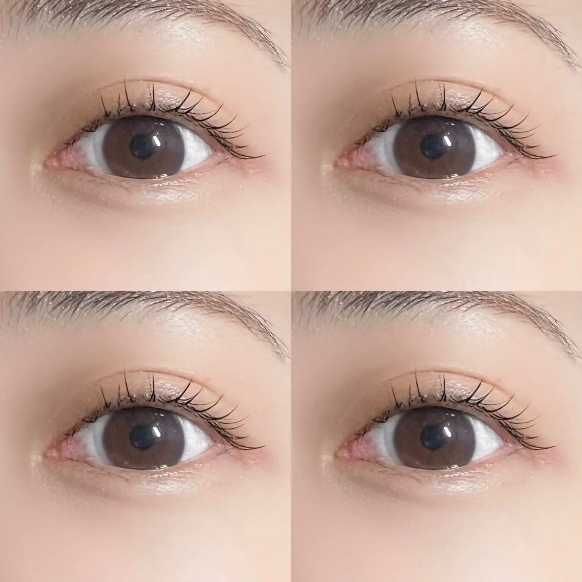 マツエク・マツパ 垢抜け眉WAX専門 ちゅるんまつげ|鎌倉の眉毛・アイブロウイメージ