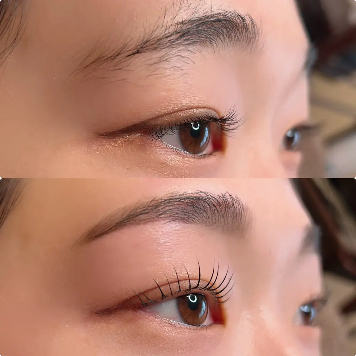 【ミニモ学割】美眉スタイリング🌸眉毛ワックス脱毛🌸🍃学生さん限定＋口コミをご投稿いただける方限定✩︎⡱の写真