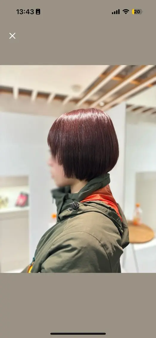 ショート ショートボブ レッドブラウン ボブ ショートヘア カット ヘアカラー 白土 さくらのヘアスタイル
