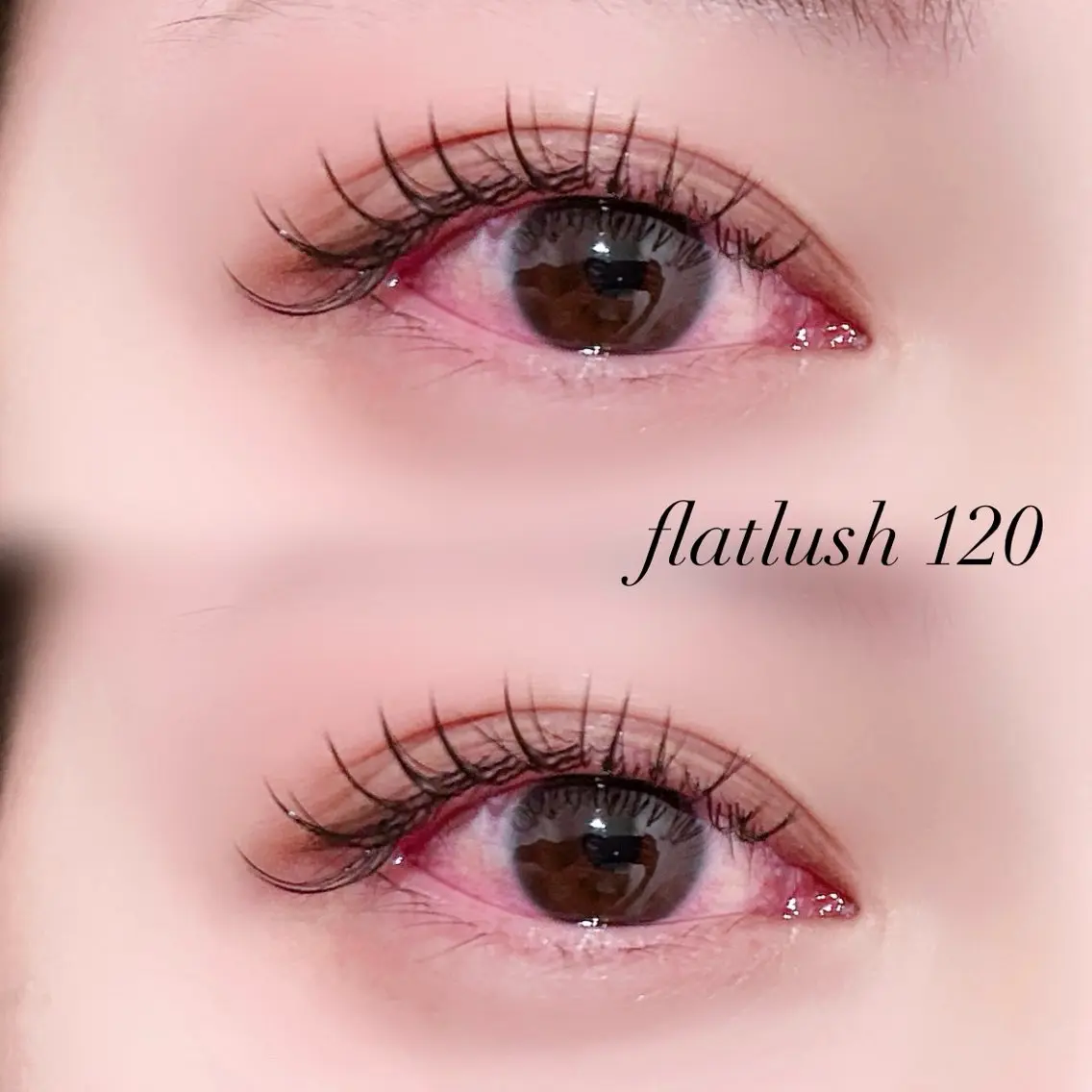フラットラッシュ120本💞本数変更も◎の写真