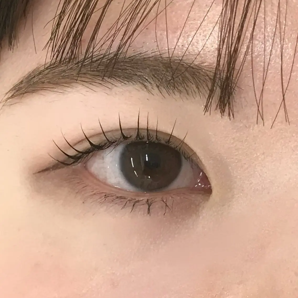 マツエク・マツパ uland yuzuki 💙の眉毛・アイブロウイメージ