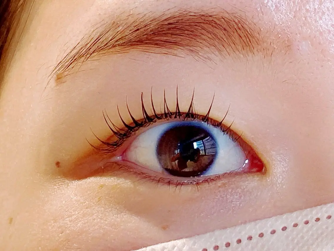 🌺ぱっちりEye🌿似合わせまつ毛パーマ (次世代ラッシュリフト)+束感コーティング込の写真