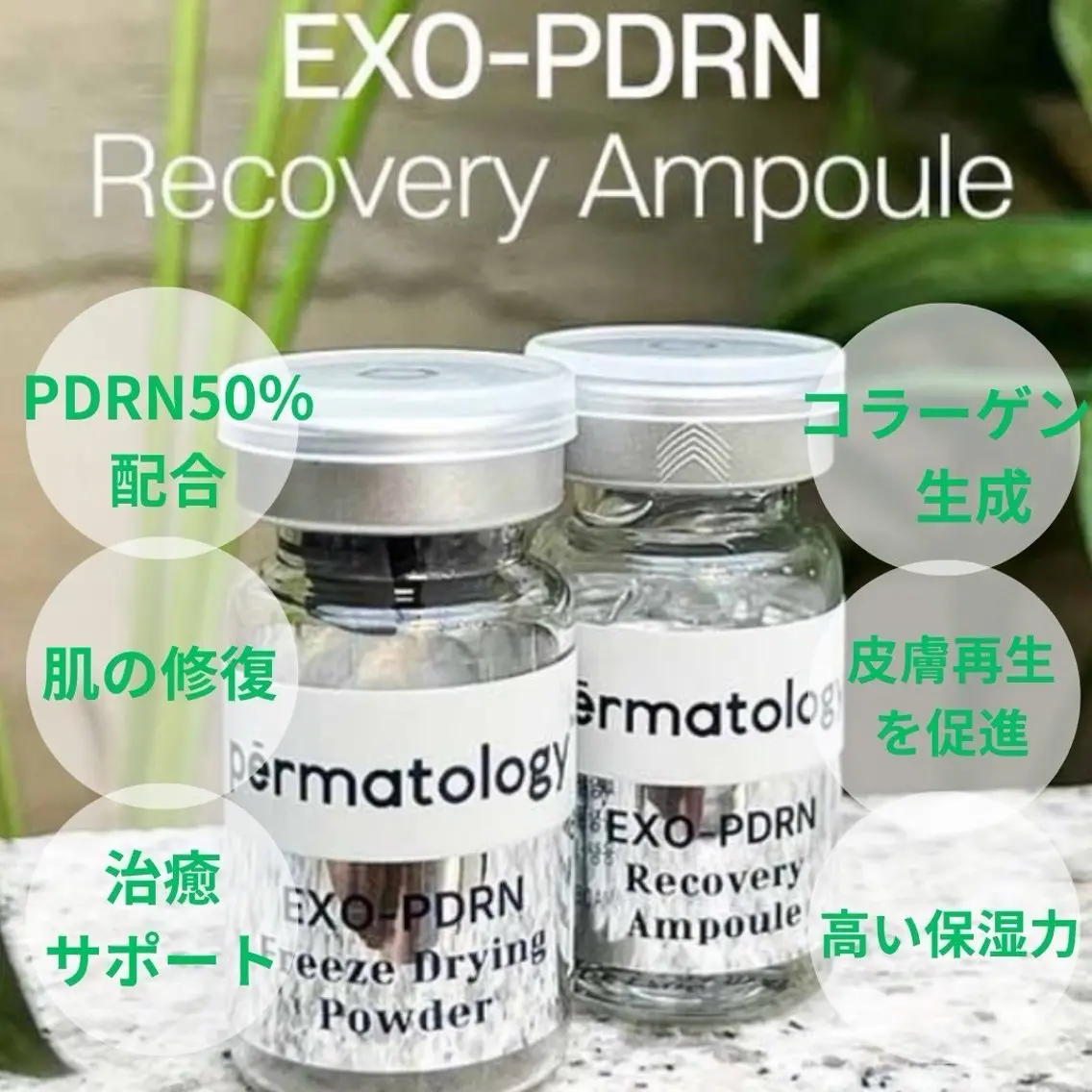 【韓国発・高級アンプル導入】サーモンPDRN 50%配合+超音波導入の写真