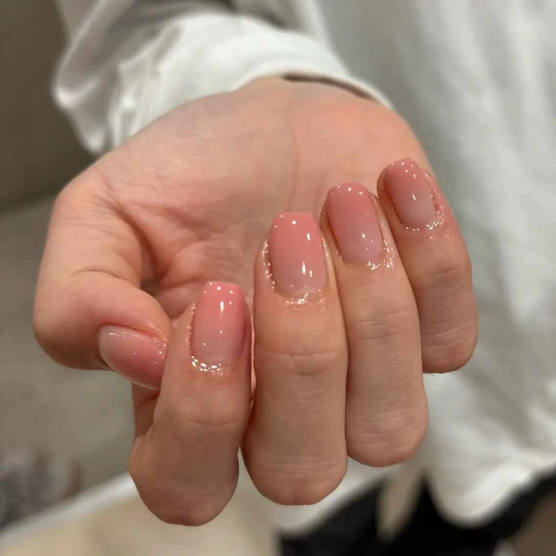 平日限定【オフあり】グラデーションの写真