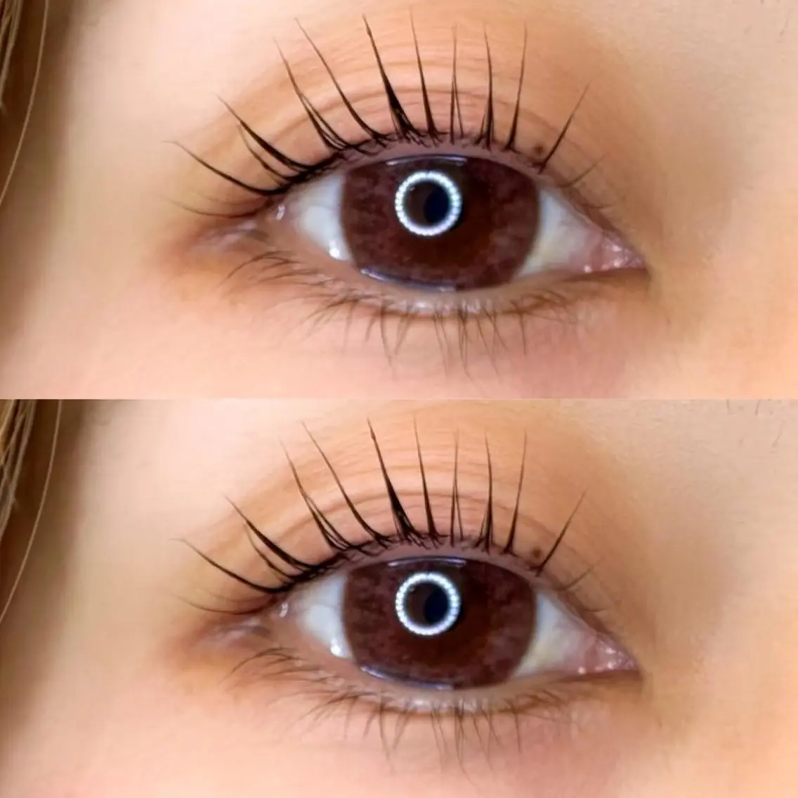 マツエク・マツパ マツパ apricott eyeのマツエク・マツパデザイン