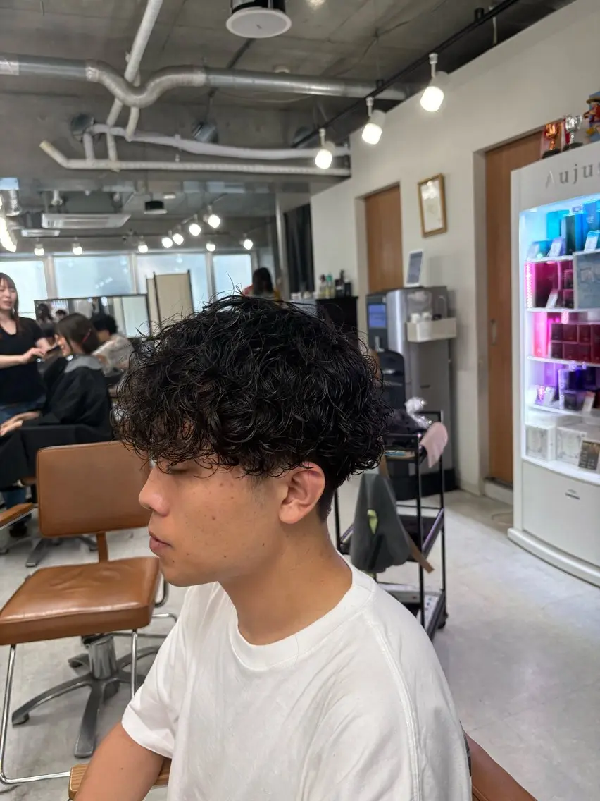 パーマ メンズ メンズパーマ プードルパーマ プードルパーマ 下北沢メンズパーマ 特化園田　楓莉のヘアスタイル