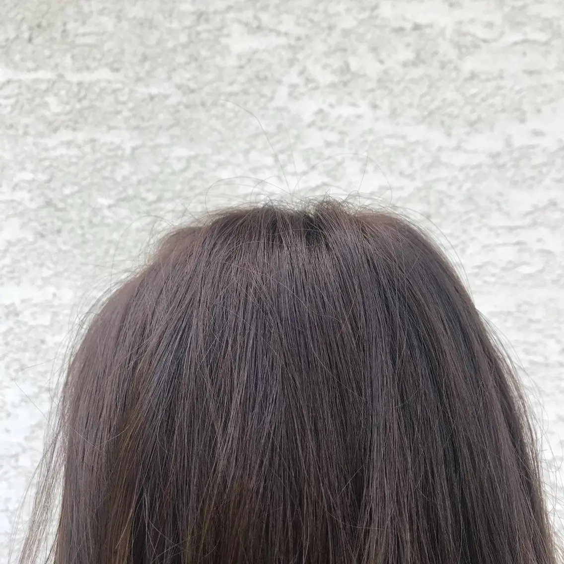 セミロング カラー ヘアアレンジ 韓国🇰🇷髪質改善 Chisaki치사키のヘアスタイル