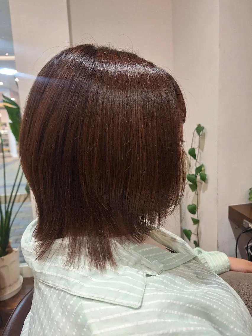 ミディアム ボブレイヤー ボブ レイヤーカット 本下 舞依のヘアスタイル