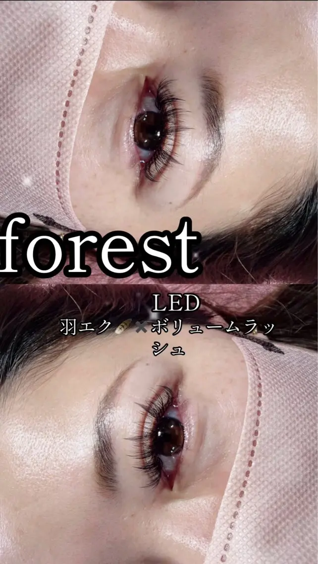 マツエク・マツパ ボリュームラッシュ マツエクサロン forestのマツエク・マツパデザイン