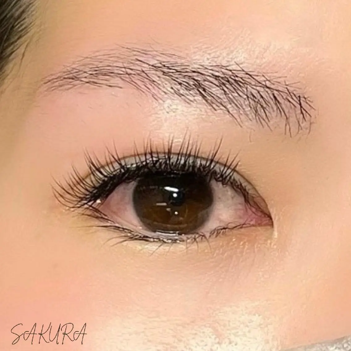 マツエク・マツパ フラットラッシュ EYE405 SAKURAのマツエク・マツパデザイン