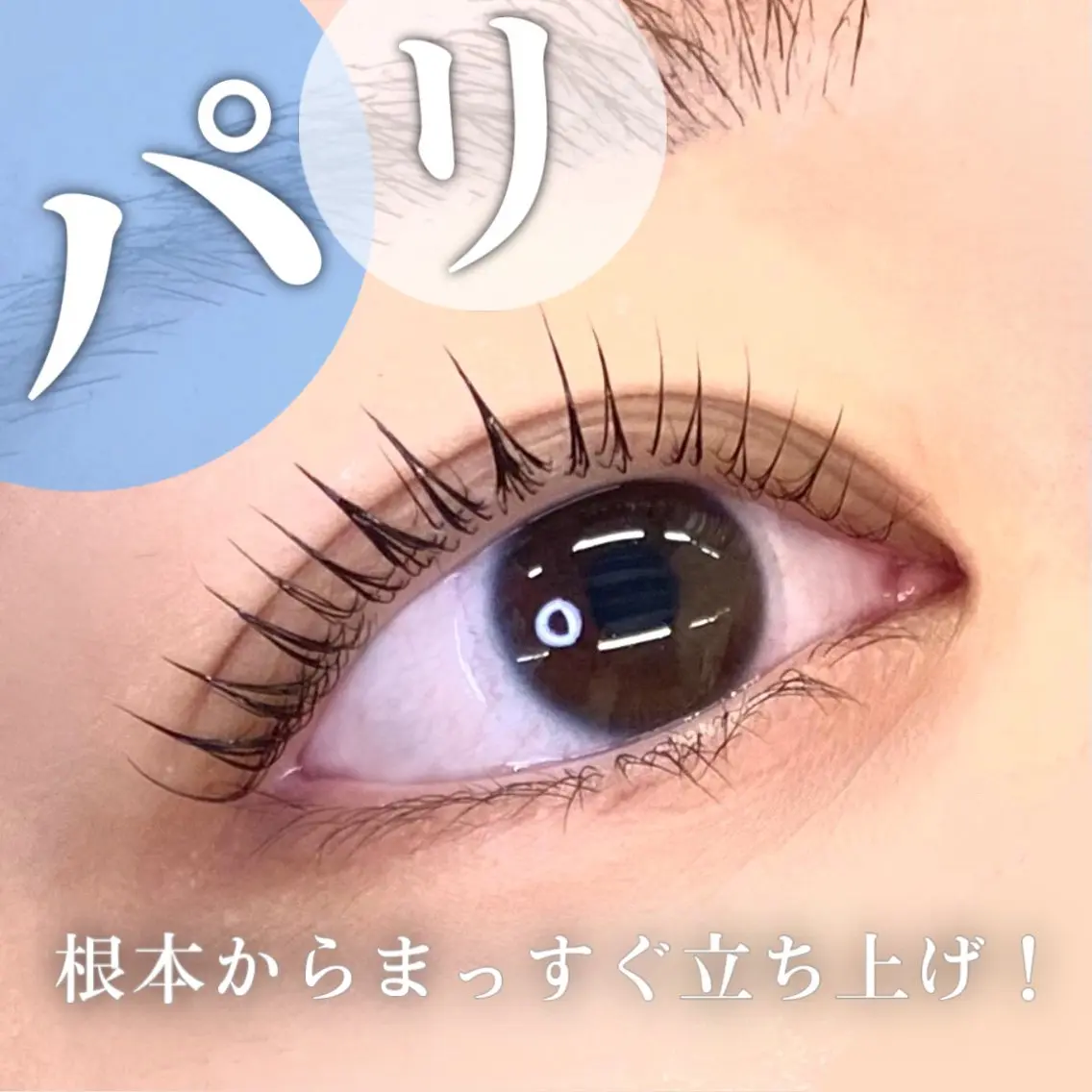 マツエク・マツパ パリジェンヌラッシュリフト マツパ 🦋eyelist 株　カブ🦋横浜のマツエク・マツパデザイン
