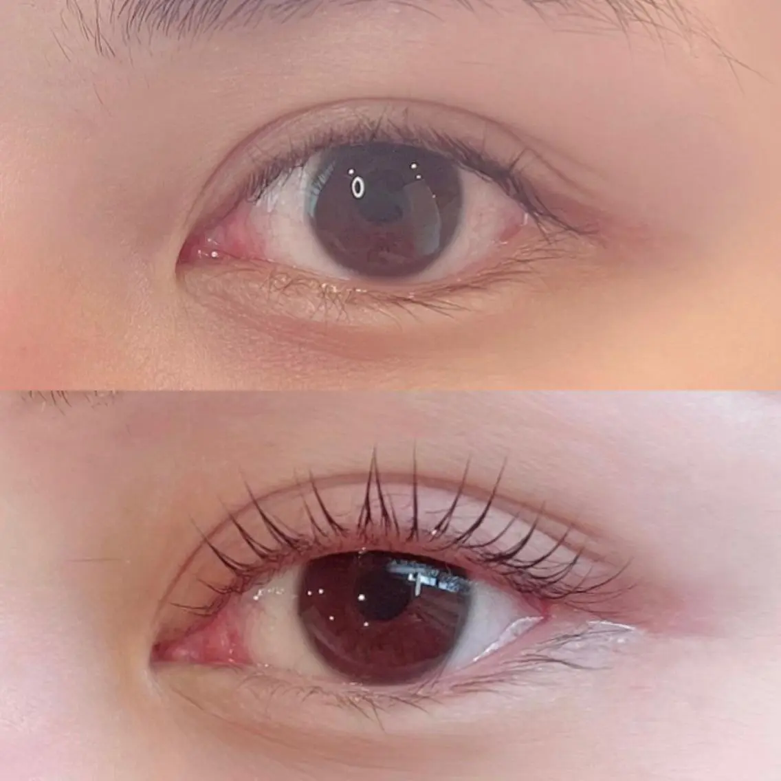 マツエク・マツパ 一重×まつ毛パーマ LELEGANCE eyelashのマツエク・マツパデザイン
