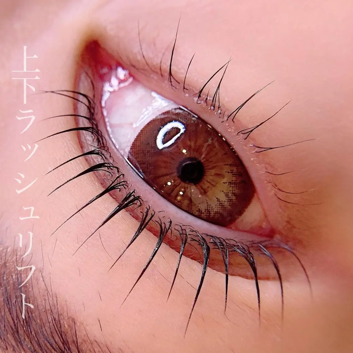 上下ラッシュリフト✨✨仕上げの高濃度コーティング付き🎶の写真