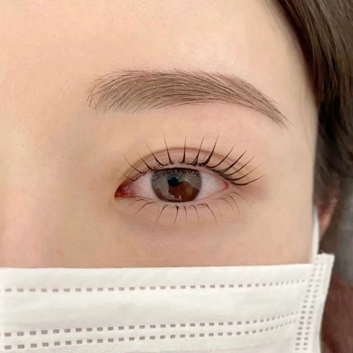 ラッシュリフト上下(パリジェンヌ可、コーティング仕上げ込み)の写真